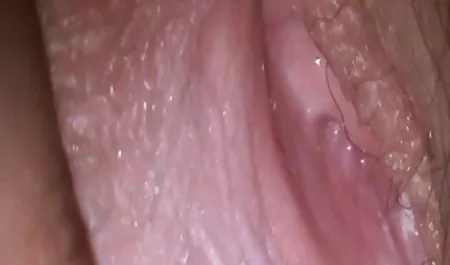 می شود لباس سکسی زیبا یک صورت
