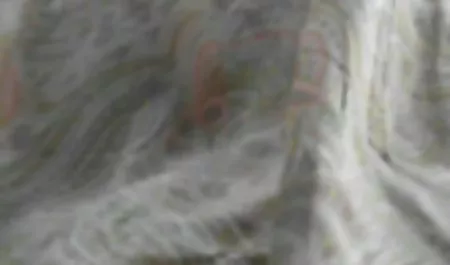 گلپر را دوست دارد شورت سکسی مقعد