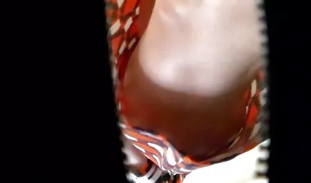شگفت آور, سیاه پوست, دهد, زیبایی, چوشیدن, زن و شایعات بی اساس سکس رو لباس
